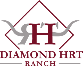 Diamond HRT Logo